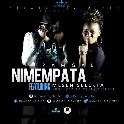 pam d ft mesen selekta nimempata