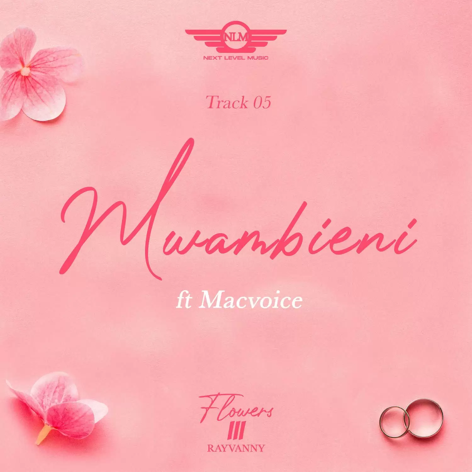 rayvanny ft macvoice mwambieni rayvanny ft macvoice mwambieni