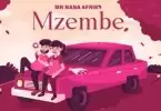 Mr Nana Mzembe