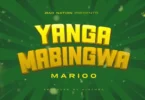 Marioo Yanga Mabingwa