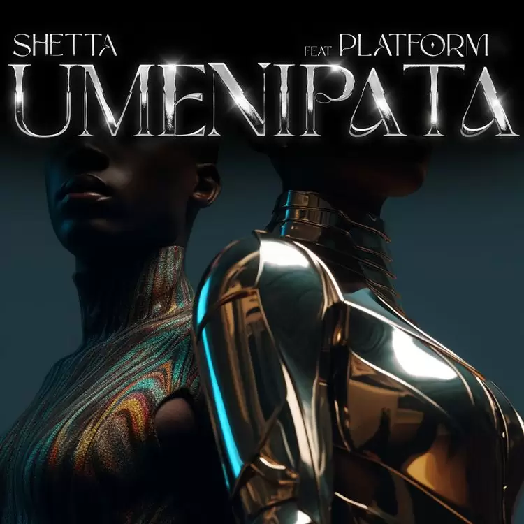 Shetta Umenipata 1