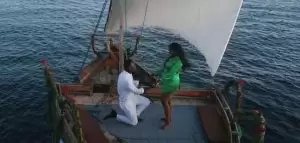 video harmonize tena