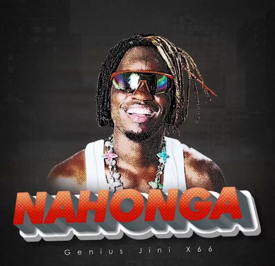 geniusjini x66 - nahonga geniusjini x66 nahonga