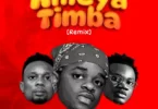 whozu ameyatimba remix 1