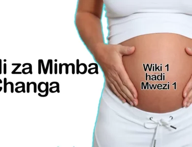 Zijue Dalili 8 za Mimba Changa