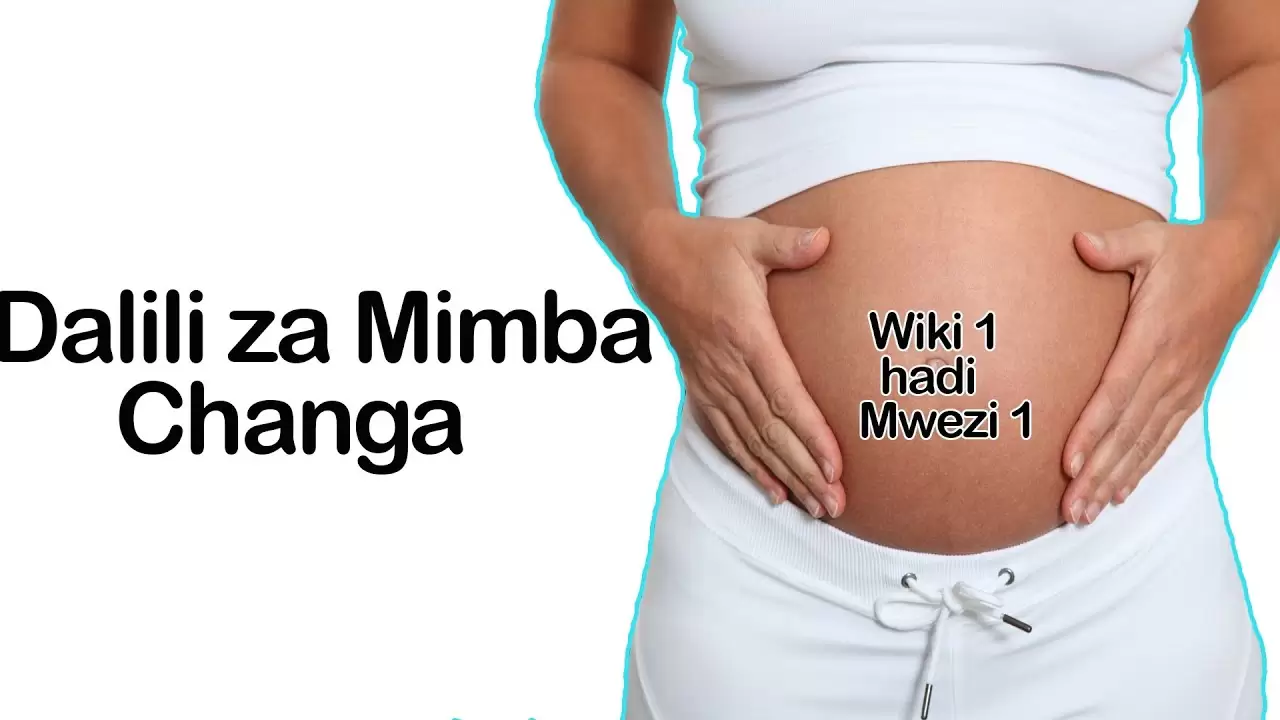 Zijue Dalili 8 za Mimba Changa