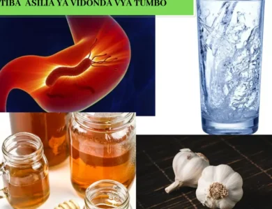 dawa asili vidonda vya tumbo