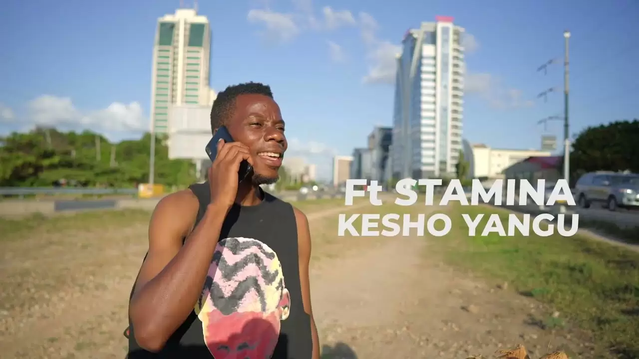 video plan madini ft stamina kesho yangu