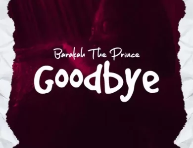 barakah the prince goodbye
