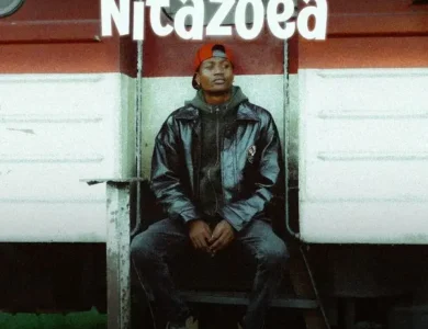 Hanstone Nitazoea
