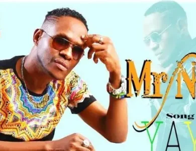 Mr Nice Yaya