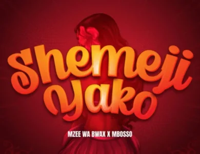 mzee wa bwax ft mbosso shemeji yako