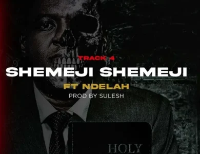 professor jay shemeji shemeji