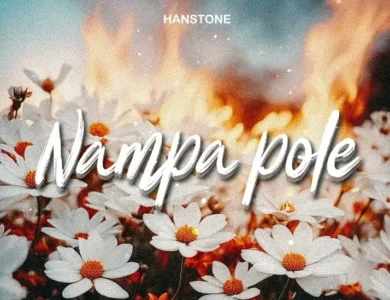 hanstone nampa pole
