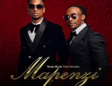 Nedy Music Mapenzi