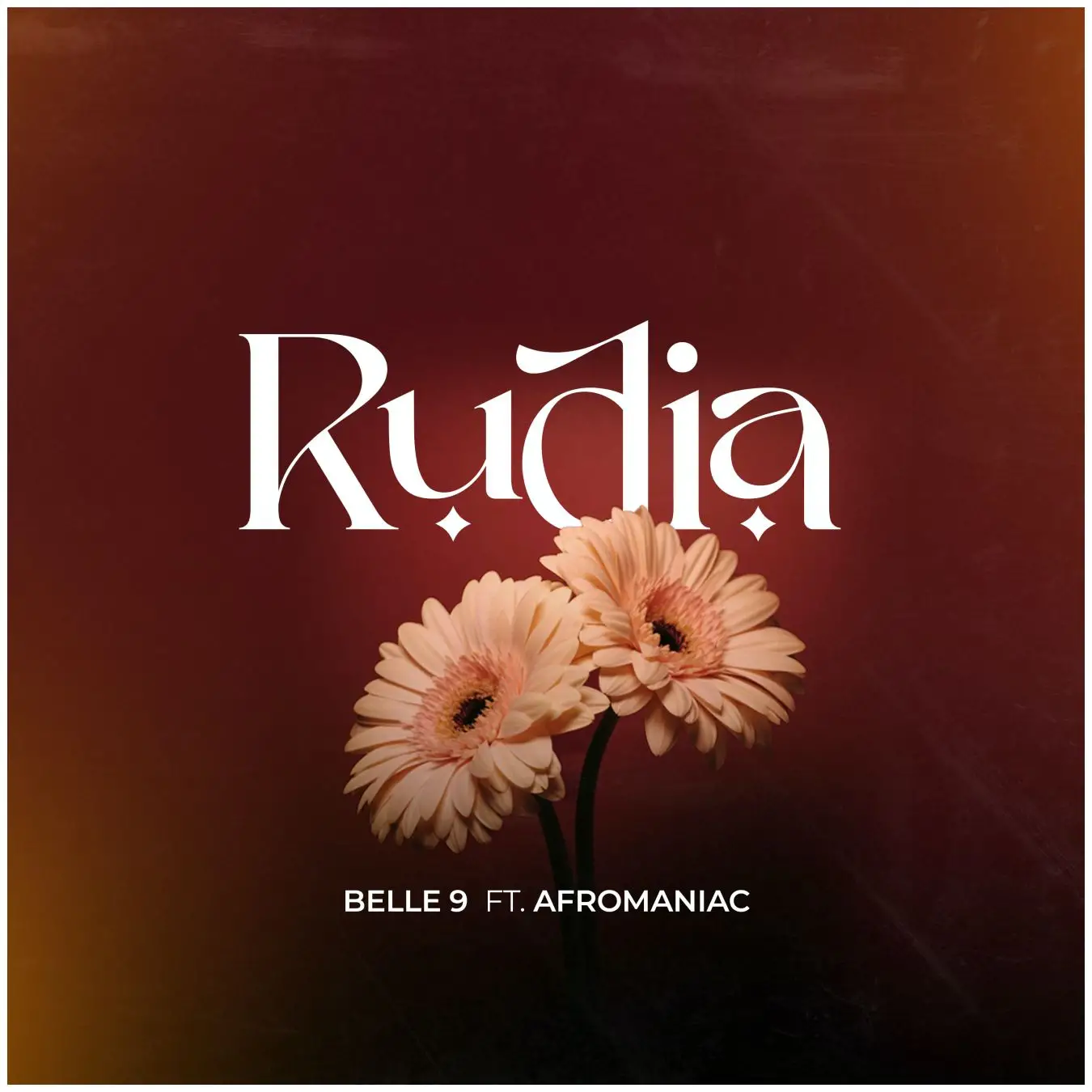belle 9 ft afromaniac belle 9 ft afromaniac rudia