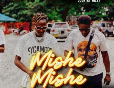 dj davizo ft country wizzy mishemishe