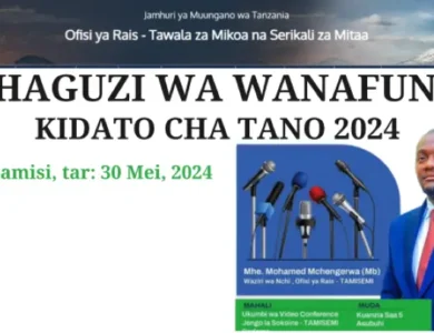 Kidato cha Tano na Vyuo 2024