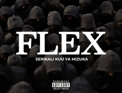 Serikali Kuu Ya Mizuka Flex