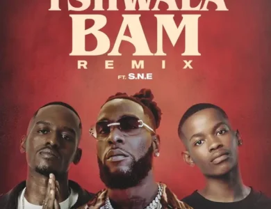 Tshwala Bam Remix