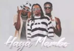 Wajomba Ft Dogo Janja Haya Mambo