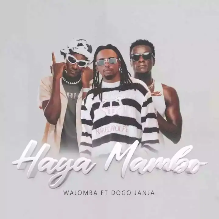 Wajomba Ft Dogo Janja Haya Mambo