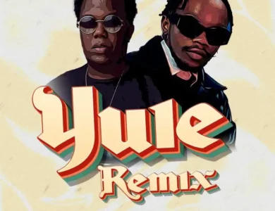 ay masta ft marioo yule
