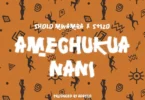 sholo mwamba amechukua nani