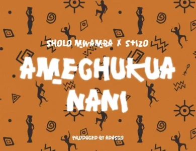 sholo mwamba amechukua nani