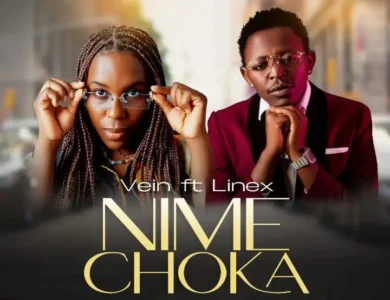 vein ft linex nimechoka