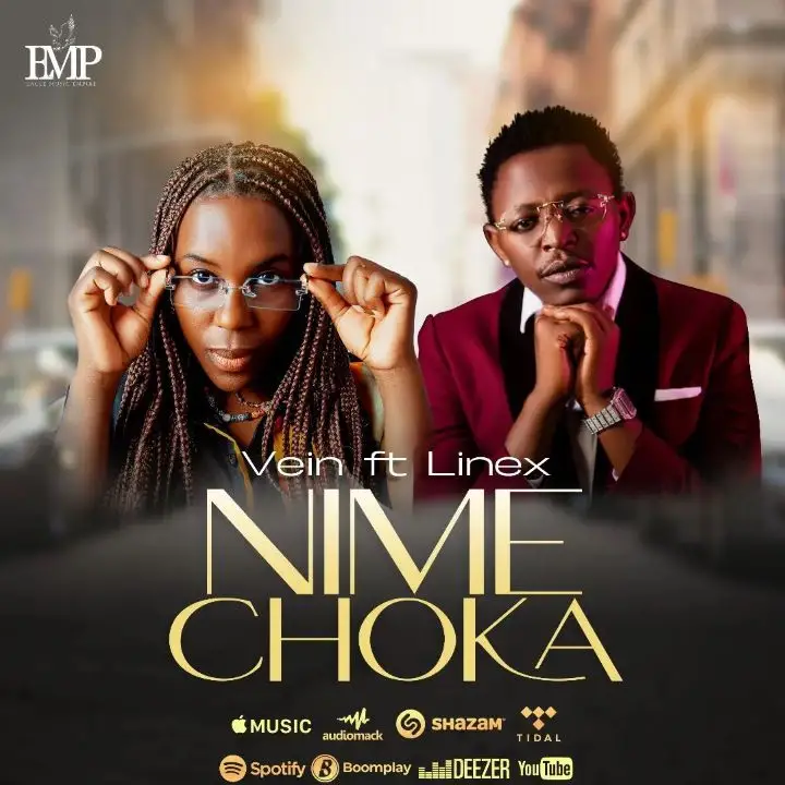 vein ft linex nimechoka