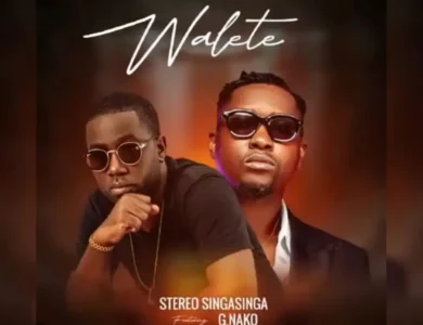 stereo ft g nako walete