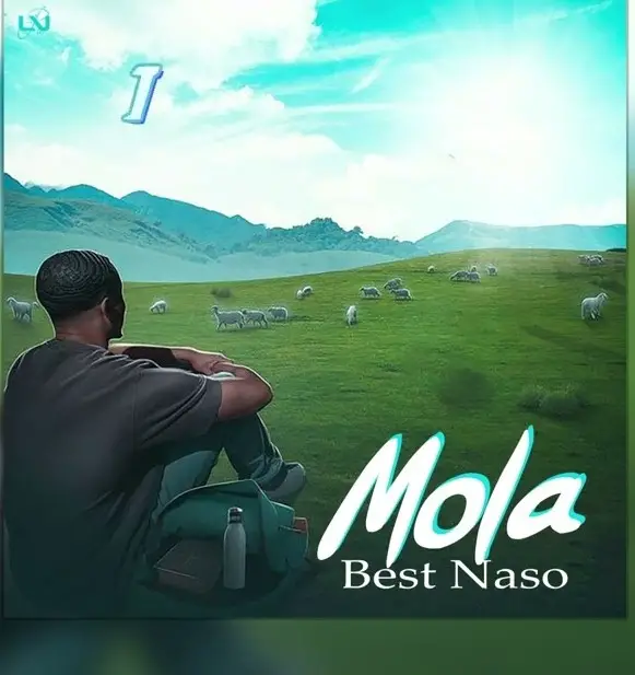 Best Naso Mola 1