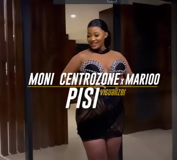 Moni Centrozone PISI 1