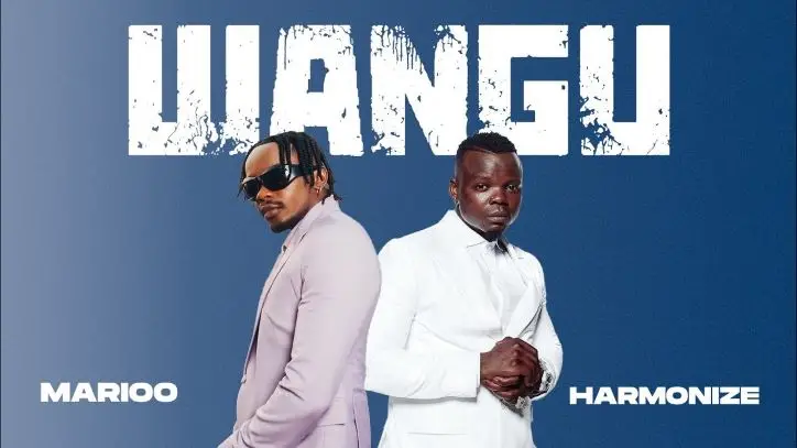 Marioo Ft Harmonize Wangu 1