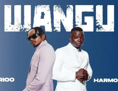 Marioo Ft Harmonize Wangu