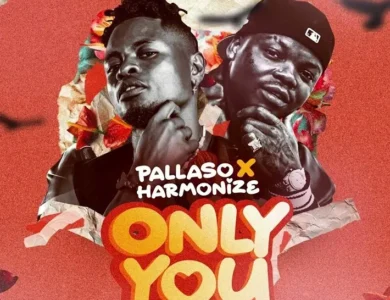 Pallaso ft Harmonize Only You