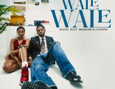 Zuchu Ft Diamond Platnumz Wale Wale