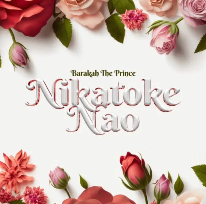 barakah da prince nikatoke nao 1