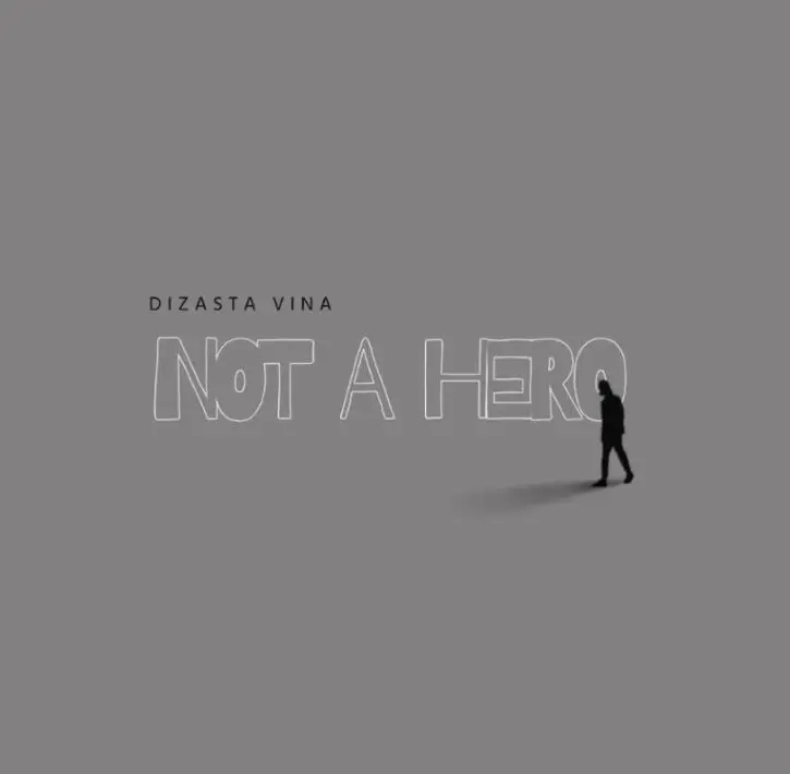 dizasta vina not a hero