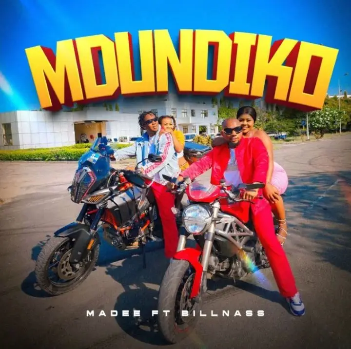 madee ft billnass mdundiko