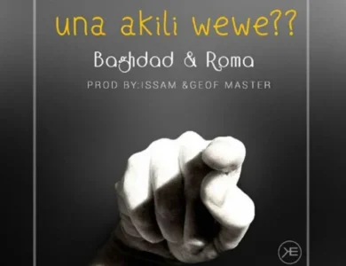 Baghdad ft Roma Una Akili Wewe
