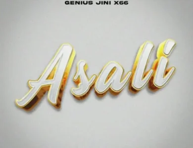 geniusjini x66 asali