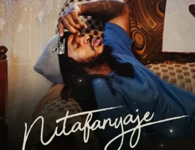 Diamond Platnumz Nitafanyaje