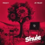 Masauti ft Jay Melody Shule