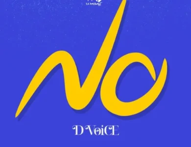 d voice no