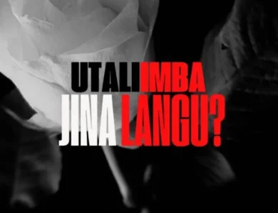 dizasta vina ft g nako utaliimba jina langu