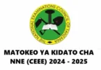 matokeo kidato cha 4 2024