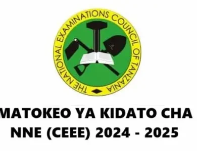 matokeo kidato cha 4 2024