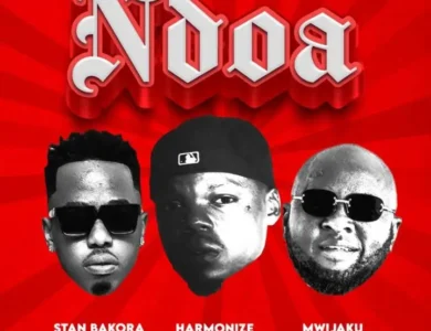 mwijaku ft stan bakora x harmonize ndoa